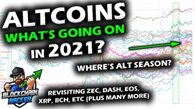 ALTSEASON ANTICIPATIONS as 2021 Consolidation Grips Altcoin Market, Bitcoin Price Washing Machine