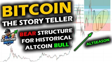 HISTORICAL SIMILARITIES for a Retrace BULLISH ALTCOIN MARKET as Bitcoin Price Chart Mirrors Crashes