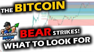 The BEAR STRIKES the BITCOIN PRICE CHART, Altcoin Market Takes a Hit, The Big Event: Retracing