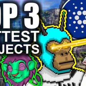 Top 3 Explosive Crypto Projects (BRAND NEW - BE THE FIRST!)