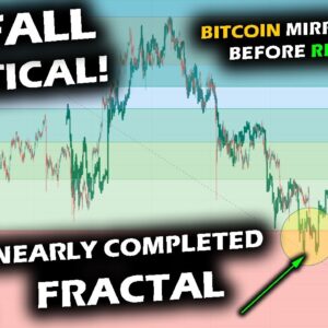 THE FINAL PHASE! Bitcoin Price Chart Mirrors 2018 Fractal as Price Fall Drags Altcoin Market and XRP