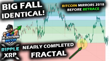 THE FINAL PHASE! Bitcoin Price Chart Mirrors 2018 Fractal as Price Fall Drags Altcoin Market and XRP