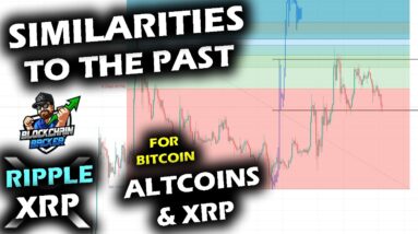 IS THIS TIME DIFFERENT? Or Have We Seen It All Before? Bitcoin Price Chart, Altcoin Market and XRP.