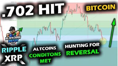 OPTIMISTIC CONDITIONS at .702 Fib for the Bitcoin Price, Altcoin Market, XRP Price Chart and Cardano