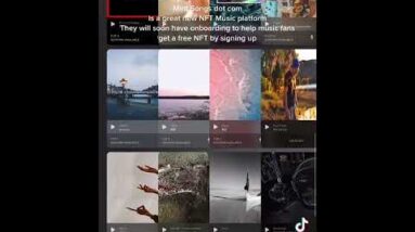mintsongs.com #musicnft #nftmusic #songnft #nftsong #nftplatform #nftcommunity #mintsongs