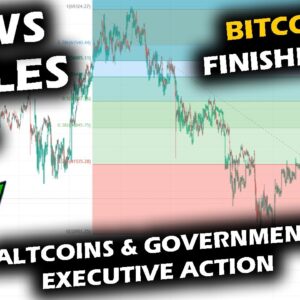 Crypto EXECUTIVE ACTION from White House, Pondering Bitcoin Price Chart and Altcoin Market Impacts