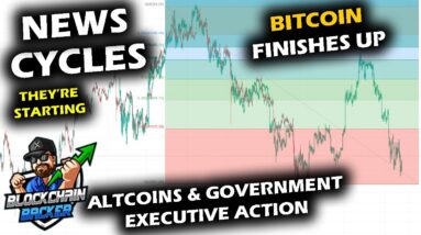 Crypto EXECUTIVE ACTION from White House, Pondering Bitcoin Price Chart and Altcoin Market Impacts