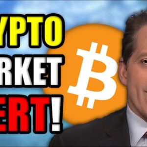 WHAT IS HAPPENING W/ BITCOIN AND CRYPTOCURRENCY?? (I'M NERVOUS)