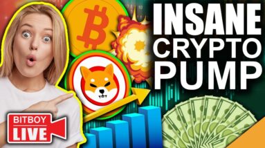 BITCOIN & CRYPTO PUMPING!! (Shiba Inu Burn Incoming?!)