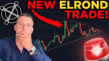 ELROND TRADING OPPORTUNITY!! MAJOR EGLD MOVE IMMINENT!!!