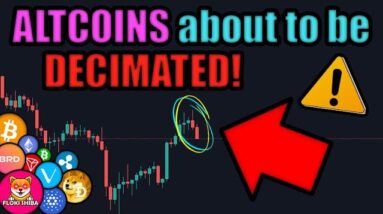 CRYPTOCURRENCY about to get DECIMATED! HUGE ALTCOIN RALLY to FOLLOW! UBER TO ACCEPT BITCOIN NEWS