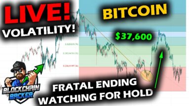 LIVE PRICE ACTION on the Bitcoin Price Chart and Altcoin Market as Volatility Swings Up and Down