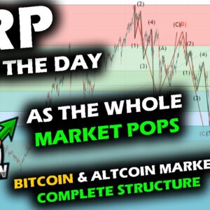 MARKET POPS UP with XRP Price Chart Taking the Lead as Bitcoin and Altcoin Market Rise