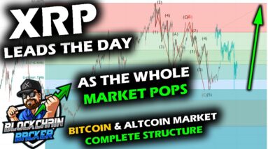 MARKET POPS UP with XRP Price Chart Taking the Lead as Bitcoin and Altcoin Market Rise