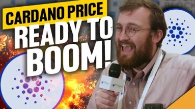 HUGE Cardano Network Upgrade Is Here! (Coinbase Platform Has Investors Worried) | BitBoy Crypto