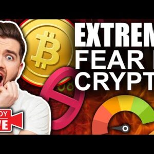 Crypto FEAR & GREED Index Showing EXTREME FEAR (3rd LARGEST Bitcoin Whale Buying)