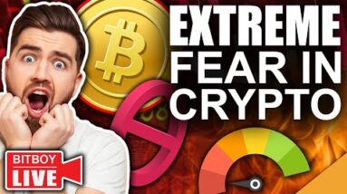 Crypto FEAR & GREED Index Showing EXTREME FEAR (3rd LARGEST Bitcoin Whale Buying)