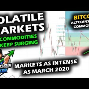 OFF TO THE RACES Another Volatile Start for Commodities, Bitcoin Price Chart, Altcoin Market, Stocks