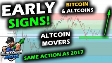 FIRST LEADER EMERGING as Rising Altcoin Market and Bitcoin Price Chart Show Similarities to History