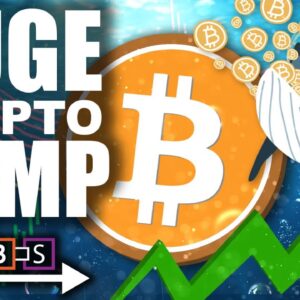 HUGE Crypto Pump as Bitcoin Reclaims $40,000 (Crypto Adoption Seeing Parabolic Growth)