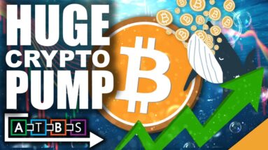 HUGE Crypto Pump as Bitcoin Reclaims $40,000 (Crypto Adoption Seeing Parabolic Growth)