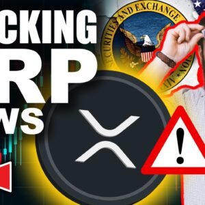 Top Crypto Experts Reveal Shocking XRP Lawsuit NEWS (Why Nations are Turning To Crypto)