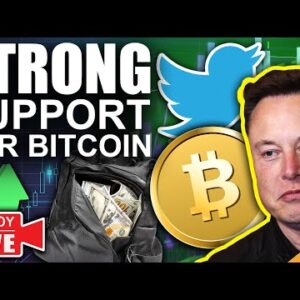 Elon Musk Becomes Twitters LARGEST Shareholder! (Bitcoin Above Strong Support)