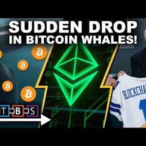 Sudden Drop in Bitcoin Whales Has Investors Nervous (HUGE Ethereum Upgrade Postponed)