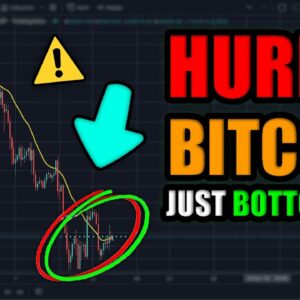 The Crypto Market JUST Bottomed (DO NOT MISS THIS)!