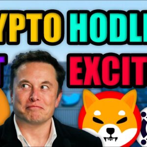 HOLY MOLY! Bitcoin & Crypto About to Have a HUGE WEEK! | Elon Musk Buys Twitter