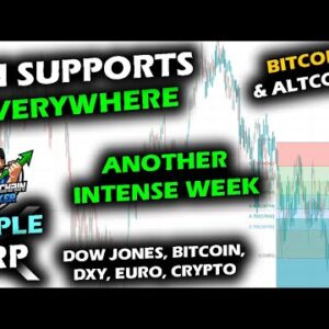 INTENSITY CONTINUES as Bitcoin Price Chart, XRP, Altcoin Market and Stocks Sit on Support