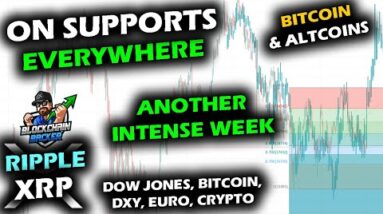 INTENSITY CONTINUES as Bitcoin Price Chart, XRP, Altcoin Market and Stocks Sit on Support