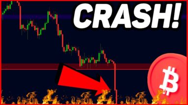 BITCOIN CRASHING! WHATS NEXT?!