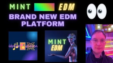 Brand New EDM Platform - MINT EDM