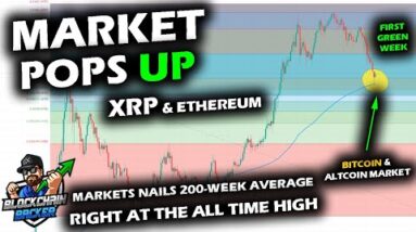 GREEN WEEK in the Works for Bitcoin Price Chart and Altcoin Market, 200-Week Average Holds, XRP +10%