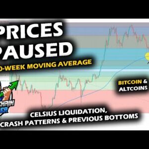 PRICES TAKE A BREATHER as Bitcoin Price Chart Pauses at 200-Week Moving Average, Altcoin Market ATH