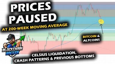 PRICES TAKE A BREATHER as Bitcoin Price Chart Pauses at 200-Week Moving Average, Altcoin Market ATH