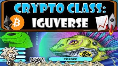 CRYPTO CLASS: IGUVERSE | INNOVATIVE PLAY TO EARN SOCIAL-NETWORK GAME | MINT NFTs FROM PET PHOTOS