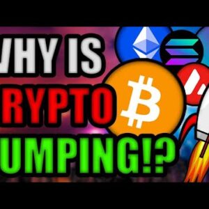 Why Is The Crypto Market Pumping? Is This Bitcoin Rally The “Real One”? [Aave, Solana, Celsius]