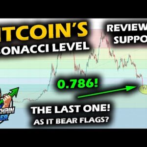 BITCOIN'S SUPPORT at the 0.786 Fibonacci as a Familiar Flag Emerges, Bitcoin vs Gold, BTC Market Cap