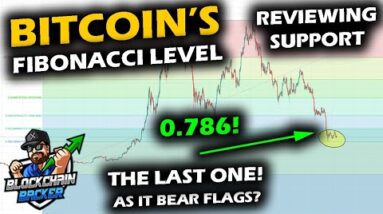 BITCOIN'S SUPPORT at the 0.786 Fibonacci as a Familiar Flag Emerges, Bitcoin vs Gold, BTC Market Cap