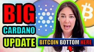 30% of Crypto Portfolio Now Cardano! Bitcoin Expert PRICE PREDICTION! 🚀 😮 📈