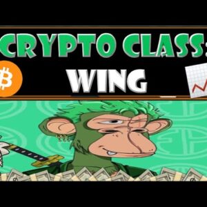 CRYPTO CLASS: WING FINANCE | NFT LENDING POOL LEVERAGING POLYGON & SOLANA | $WING TOKEN | WING DAO