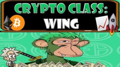 CRYPTO CLASS: WING FINANCE | NFT LENDING POOL LEVERAGING POLYGON & SOLANA | $WING TOKEN | WING DAO