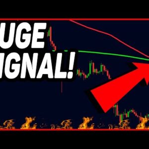 THIS BITCOIN SIGNAL IS 100% ACCURATE FOR PREDICTING BEAR MARKET BOTTOMS!!! (do not miss it)