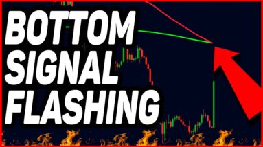 INSANE BITCOIN BEAR MARKET BOTTOM SIGNAL FLASHING!!! (prepare now)