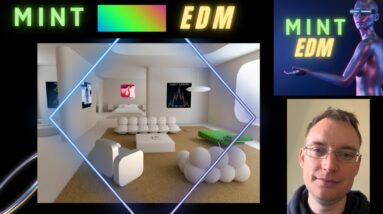 Mint EDM Metaverse Loft and More