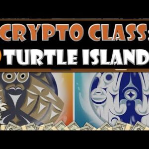 CRYPTO CLASS: TURTLE ISLAND NFT | 50% OF NFT PROFITS DONATED TOWARDS 3 INDIGENOUS PROGRAMS