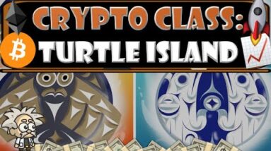 CRYPTO CLASS: TURTLE ISLAND NFT | 50% OF NFT PROFITS DONATED TOWARDS 3 INDIGENOUS PROGRAMS