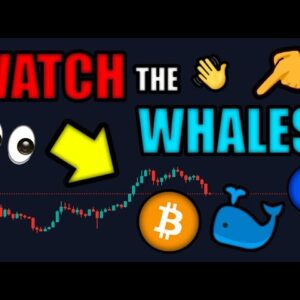 WHALES (QUIETLY) BUYING BITCOIN! 🐳 ETHEREUM to EXPLODE After MERGE in SEPTEMBER!